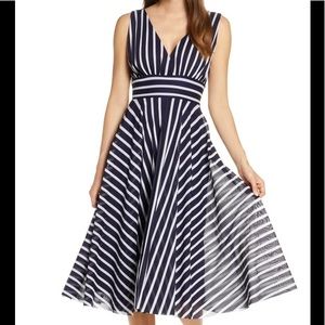 Stripe Sleeveless Fit & Flare Dress In Navy